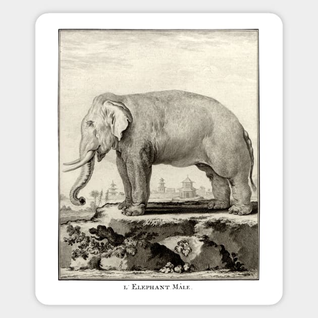 18th C. Male Elephant Magnet by historicimage